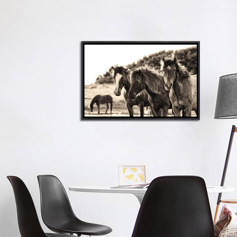 iCanvas "Horses Three Sepia" by Aledanda Framed