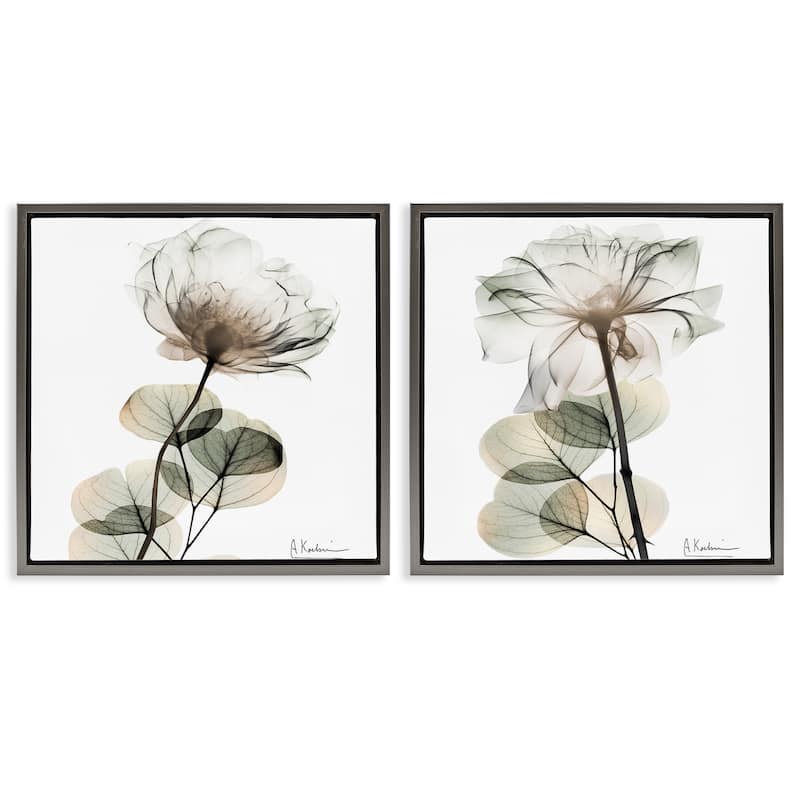 Stupell Cream Transparent Floral Framed Floater Canvas Wall Art Design By Albert Koetsier (Set of 2) - 25 x 25 - Grey