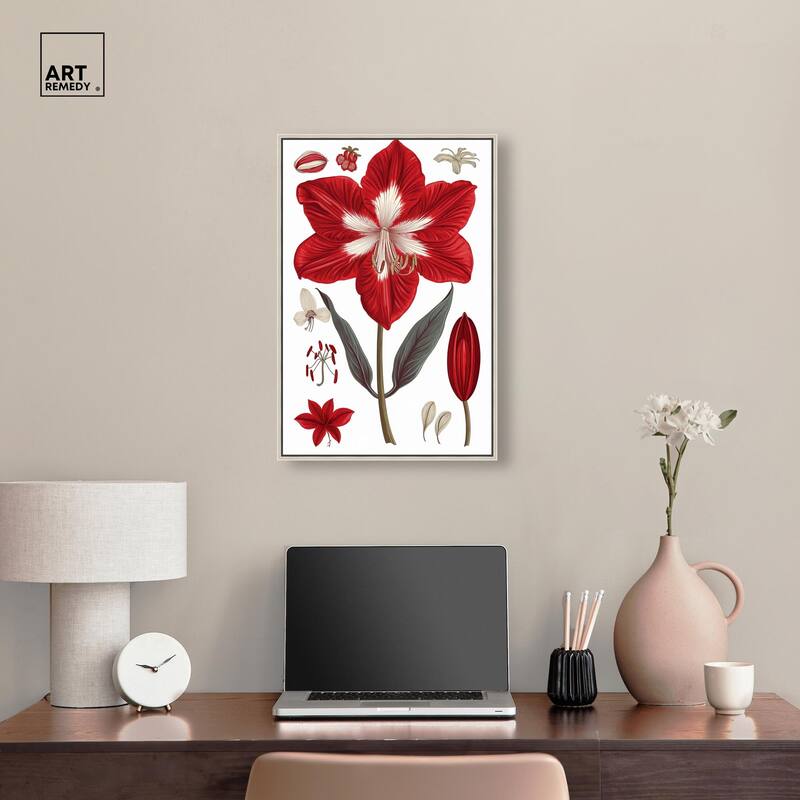 Amaryllis Anatomy Canvas by Art Remedy