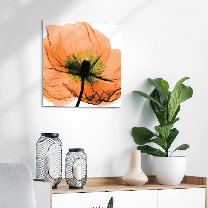 "Poppy Orange" Frameless Free Floating Tempered Glass Panel Graphic Wall Art
