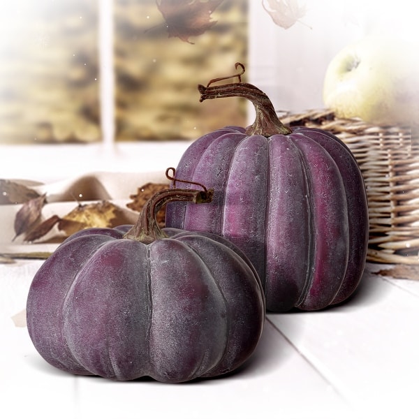 https://ak1.ostkcdn.com/images/products/is/images/direct/eae95ffd287e0e2eeb127670aab71013b2bd28cb/5-6%22-Waterproof-Weathered-Pumpkin-Set-of-2.jpg?impolicy=medium
