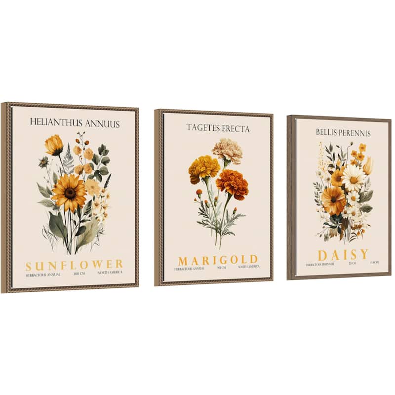 Amanti Art Vintage Sunflower Marigold and Daisy 3 Piece by Christopher Giampietro Framed Canvas Wall Art