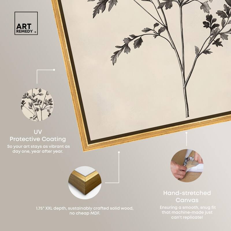 Aniseed Anatomy I Canvas by Art Remedy