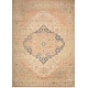 preview thumbnail 2 of 12, Nourison Vintage Washables Indoor only Multicolored Persian Area Rug 4' x 6' - Multicolor