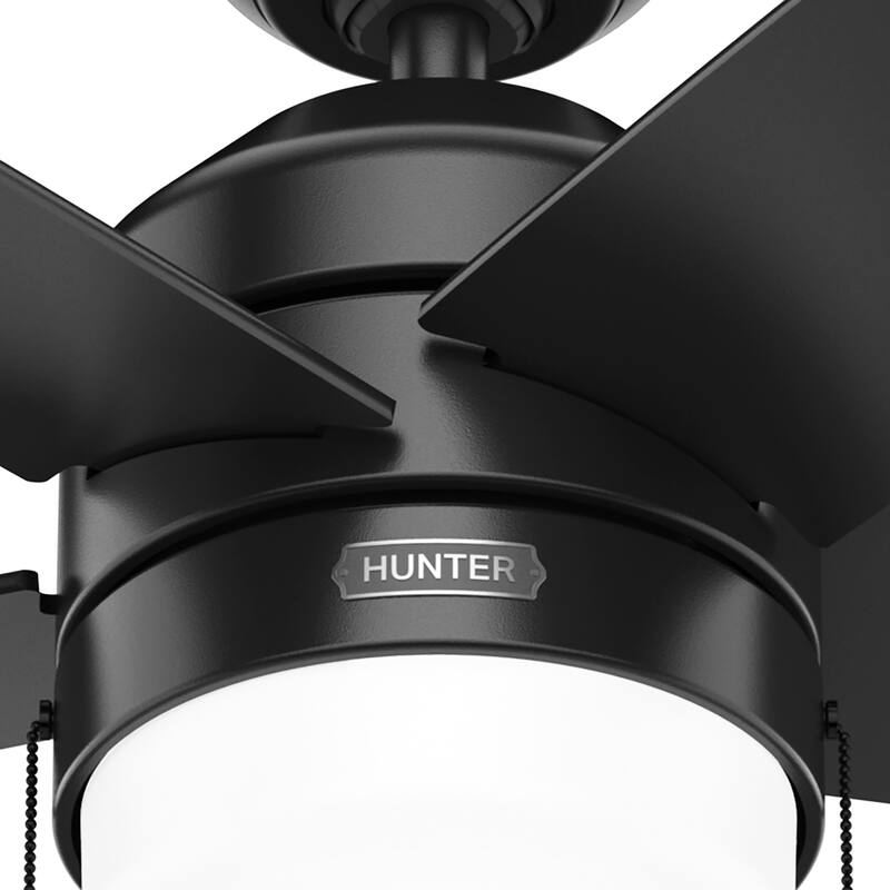 Hunter Bardot Ceiling Fan with LED Light Kit and Pull Chain, Modern, Contemporary, Transitional