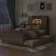 preview thumbnail 47 of 57, Bookcase Bed Twin Size Platform Bed Frame Solid Wood Storage Bed with LED Light Strip and Headboard(Trundle or Drawers Choose)