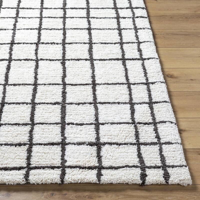 Erik Transitional Plaid Area Rug