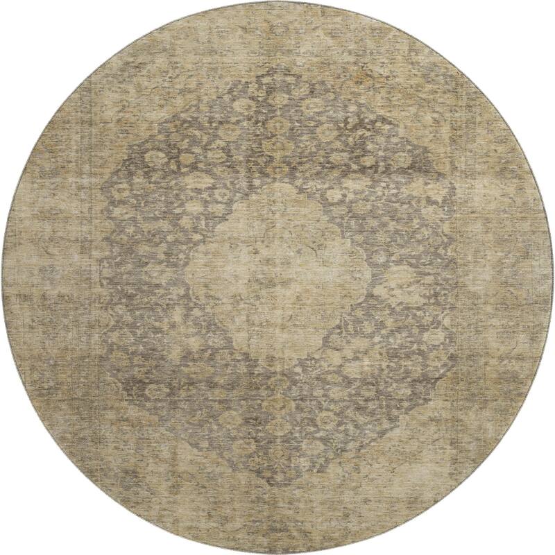 Premium Washable Super Soft Vintage Traditional Mayfield Rug