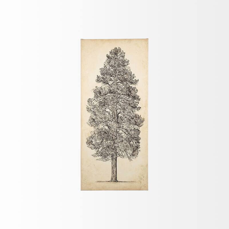 Pacific Northwest Tree Sketch III Canvas Art Print