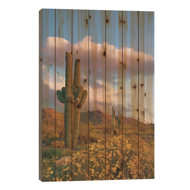 Saguaro And Brittlebush In Spring, White Tank Mountains, Arizona Print On Wood by Tim Fitzharris - Multi-Color - 40x26x1.5