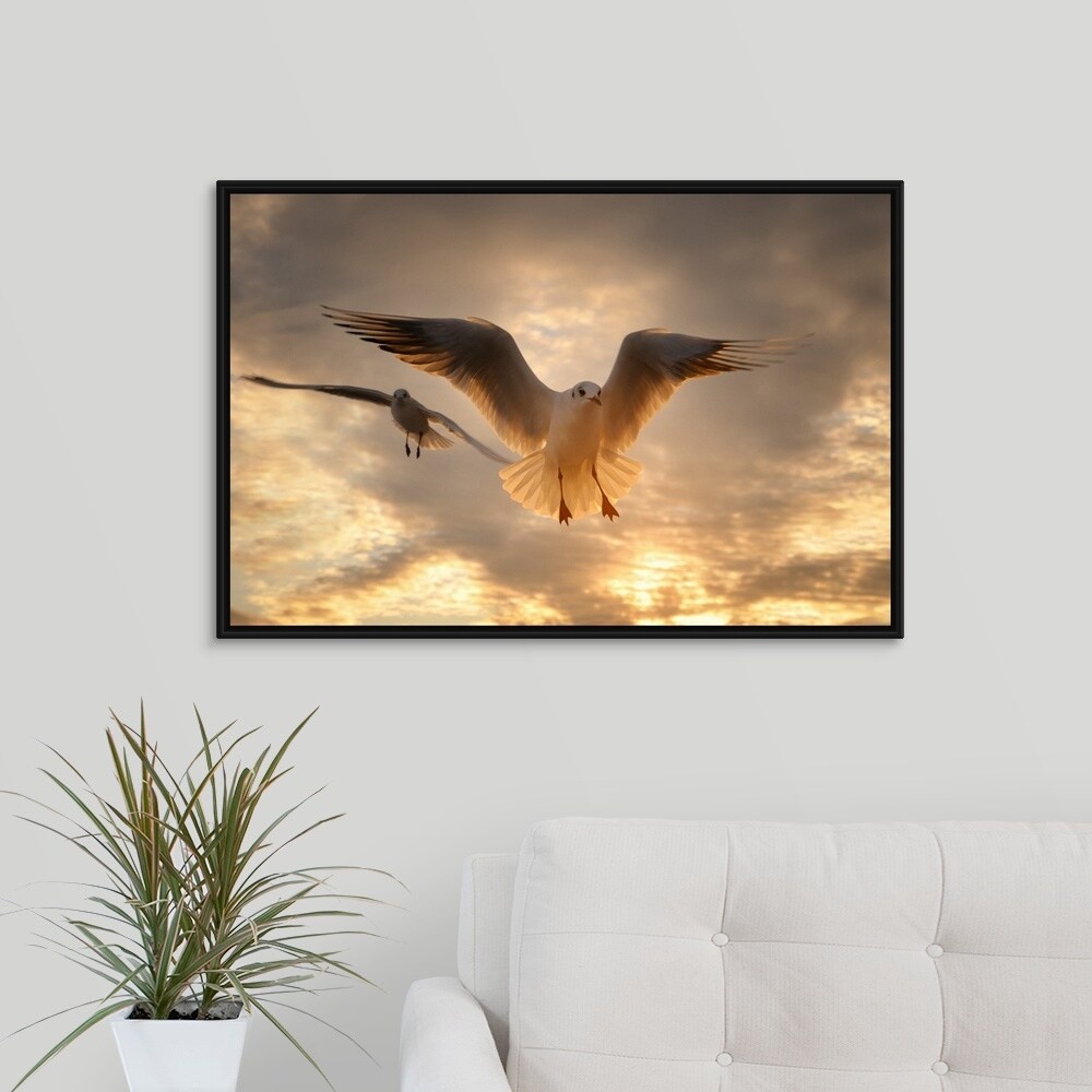 Shop Seagull At Sunset Menton France Multi Color Free