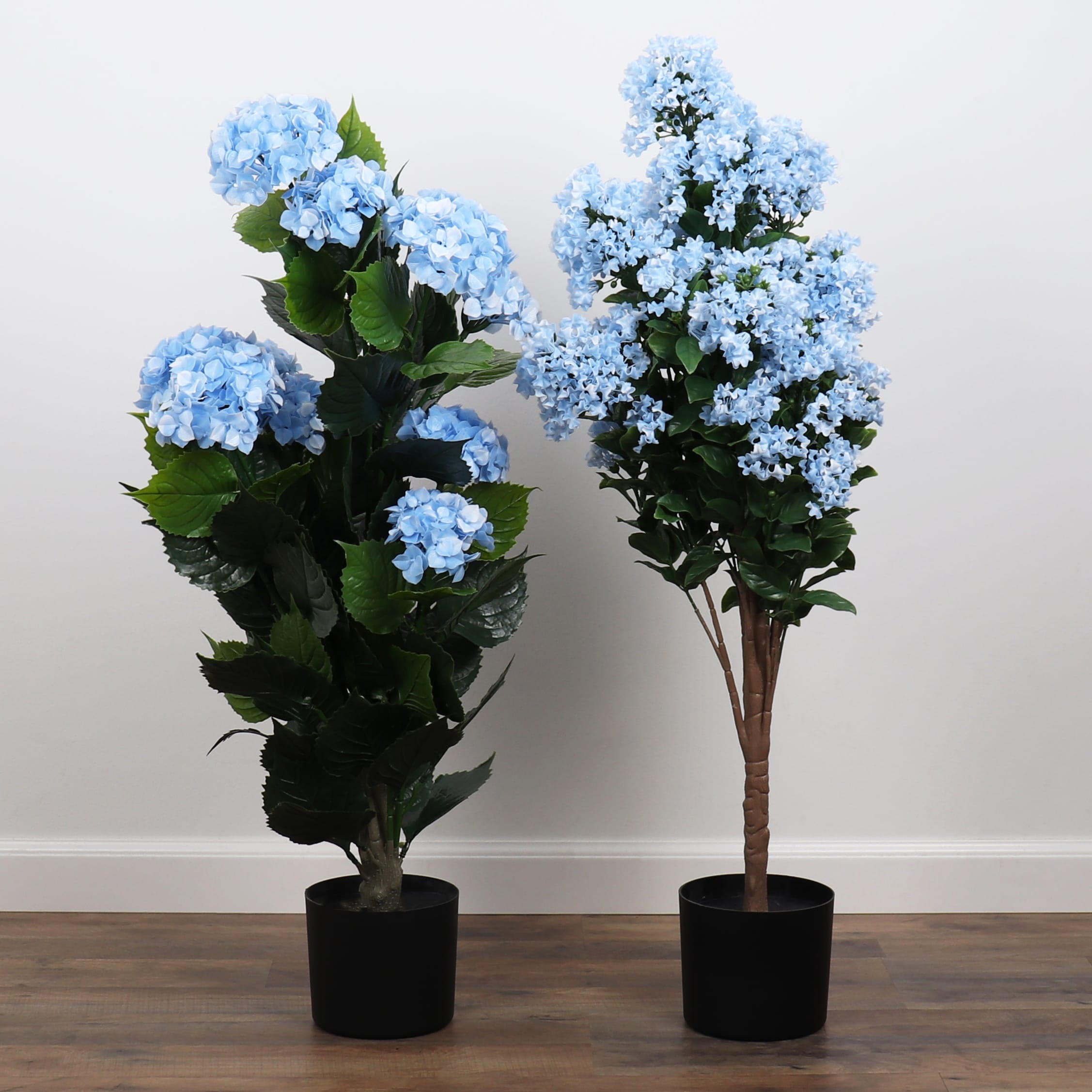 Bornbridge Colorful Potted Hydrangea - N/A - On Sale - Bed Bath