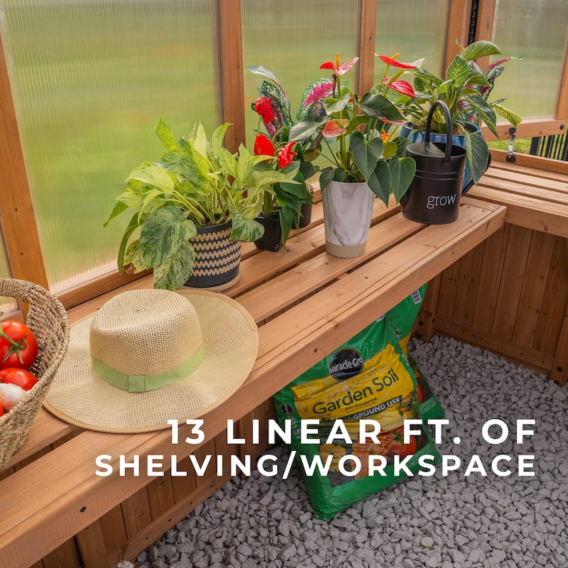 Backyard Discovery 9 x 6 Willow Greenhouse