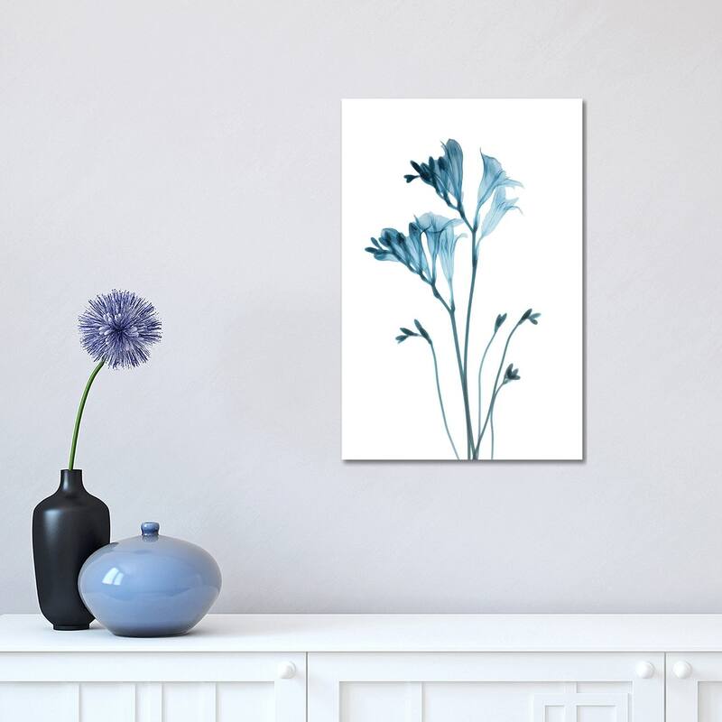 iCanvas "Blue Freesia" by Albert Koetsier Canvas Print - 18x12x1.5