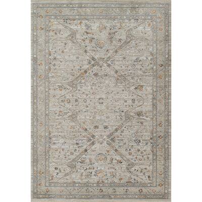 Momeni Cambridge Viscose Traditional Area Rug