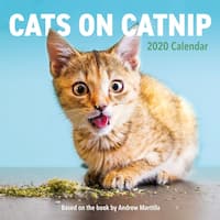 Buy Wall Calendars Online At Overstock Our Best Calendars