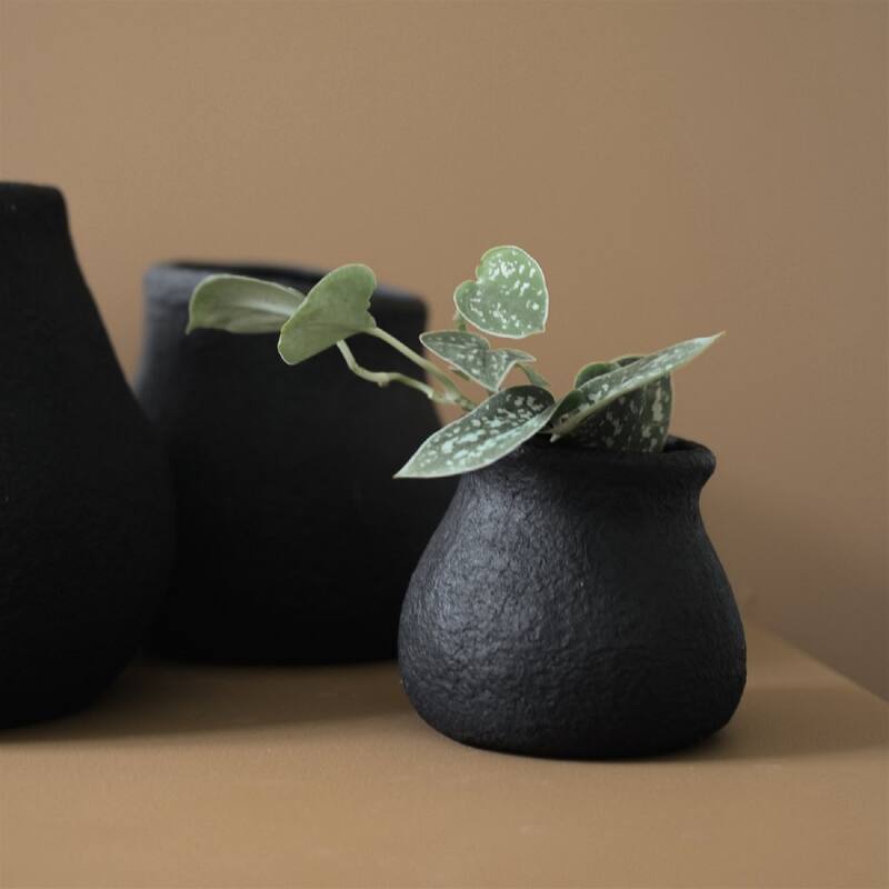 PAPER black