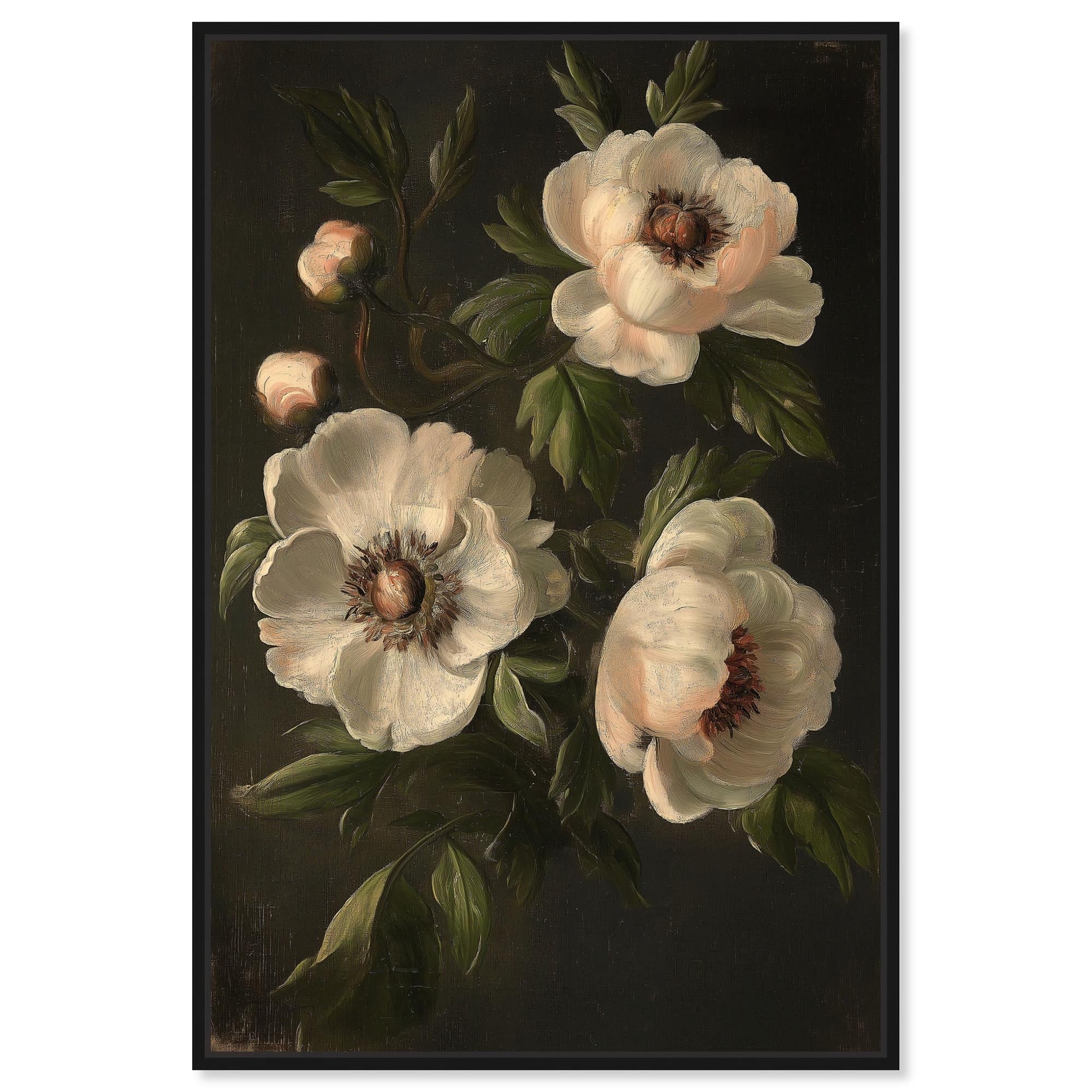 White Peonies in Dark I Canvas by Art Remedy