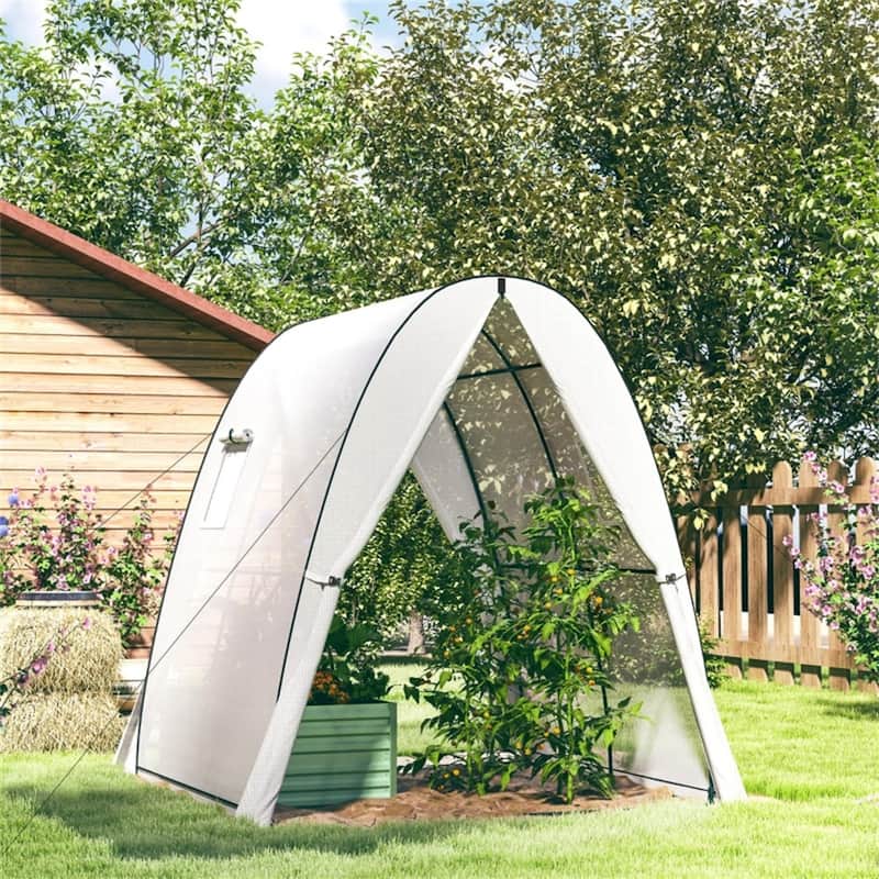 PE Steel Gothic Arch Mini Greenhouse with Roll-Up Doors