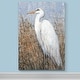 preview thumbnail 5 of 8, White Heron II -Premium Gallery Wrapped Canvas