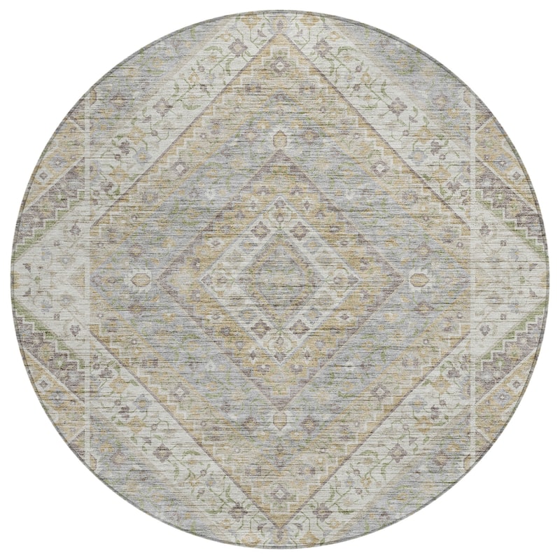 Machine Washable Indoor/Outdoor Traditional Ali Chantille Rug