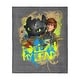 preview thumbnail 115 of 118, Universal How to Train Your Dragon Silk Touch Throw Blanket 60 x 80 inches - Follow My Lead