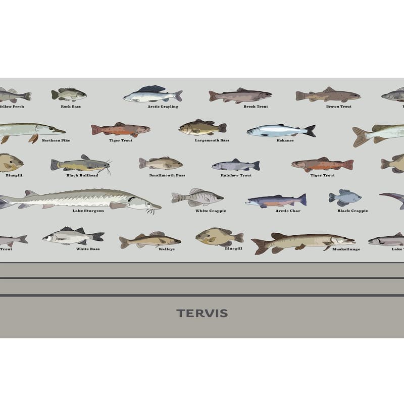 Tervis Traveler Fishing Here Fishy Fishy Triple Walled Insulated Travel Tumbler, Stainless Steel