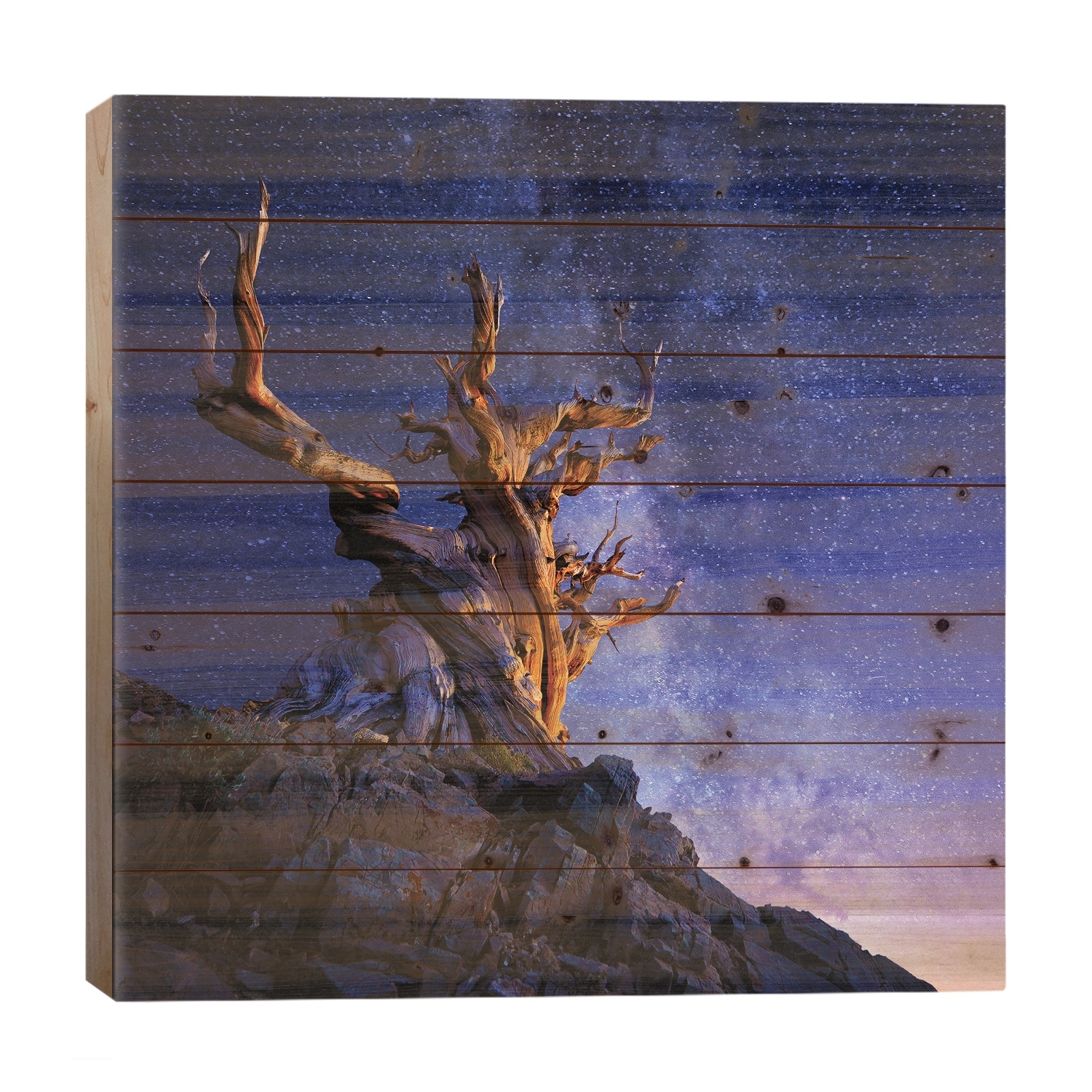 The Ancient Tree Print On Wood by Surjanto Suradji - Multi-Color