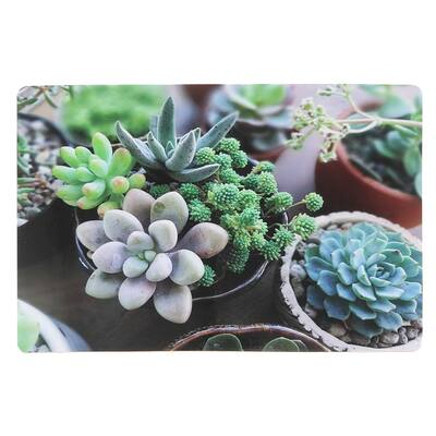 Plastic Placemat (succulents) - Set Of 12