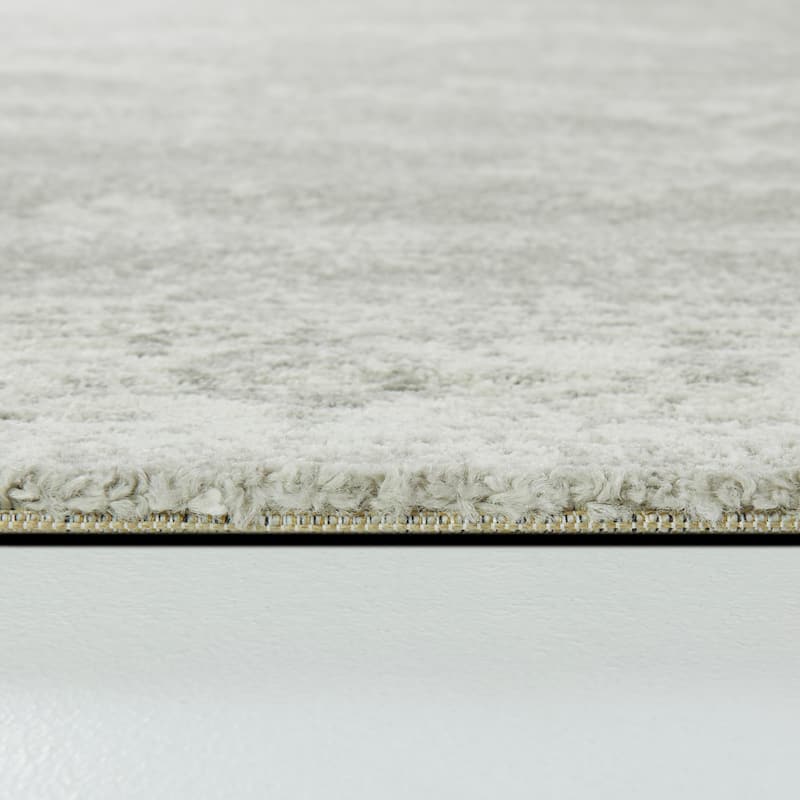 Nafisa Distressed Medallion Area Rug