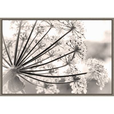 Floral Cow Parsnip by Jaynes Gallery Framed Canvas Art