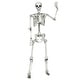 5.4ft Halloween Skeleton Life Size Realistic Full Body Hanging - Bed ...