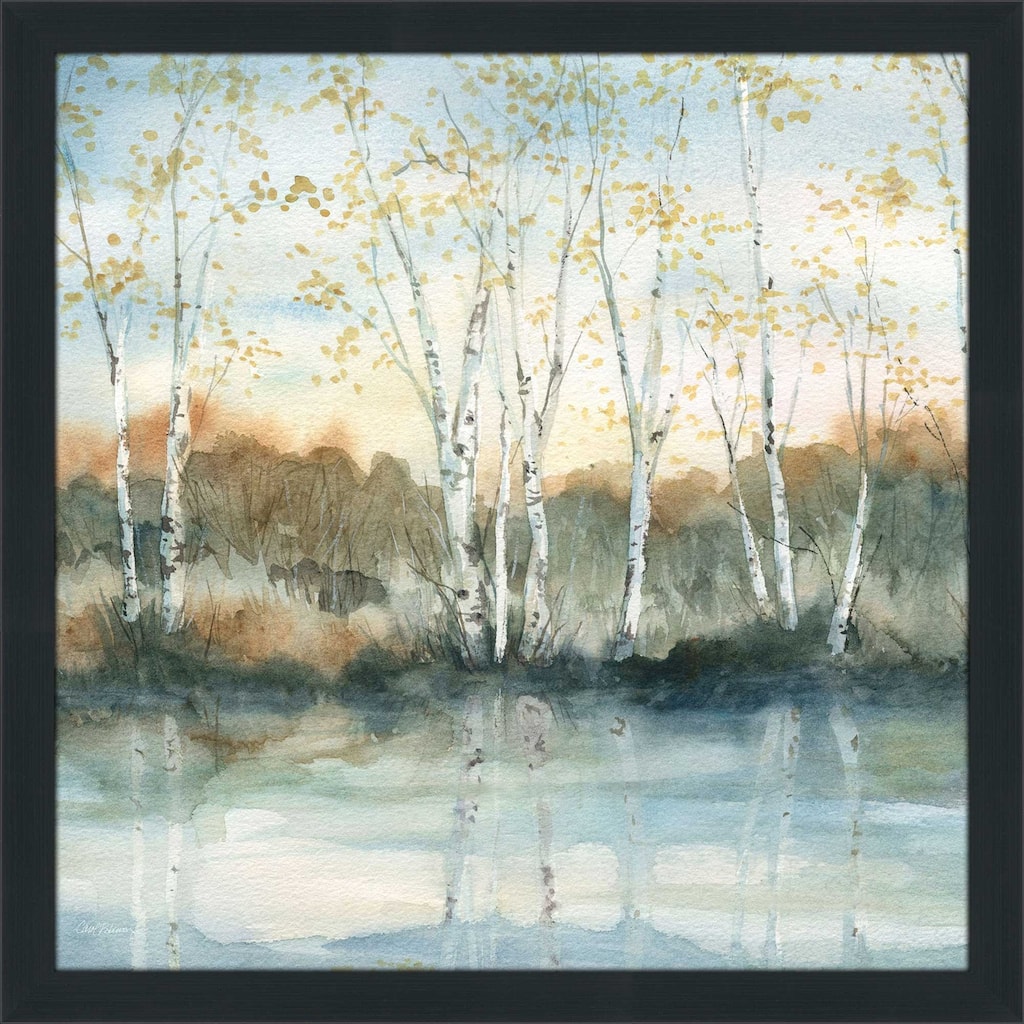 "Birch Riverbank" by Carol Robinson Print on Acrylic