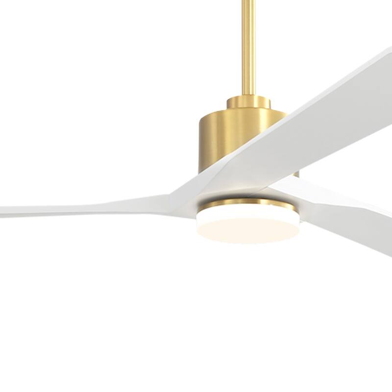 WINGBO 64" DC Motor Indoor Ceiling Fan with LED Light & Remote