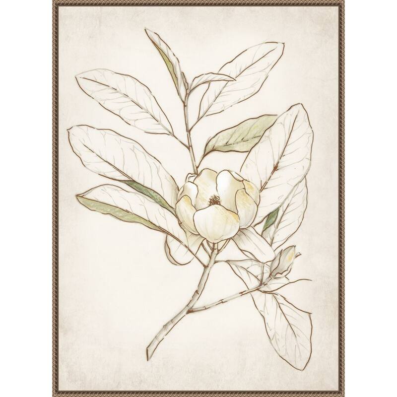 Botanical No. 1 by Alex Black Framed Canvas Wall Art Print