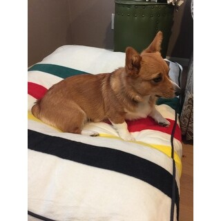 Shop Pendleton Glacier National Park Dog Bed Overstock 14427737