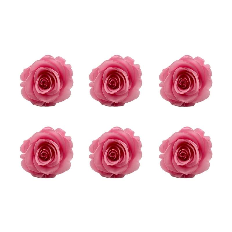Large Colorful Preserved Roses - Set of 6