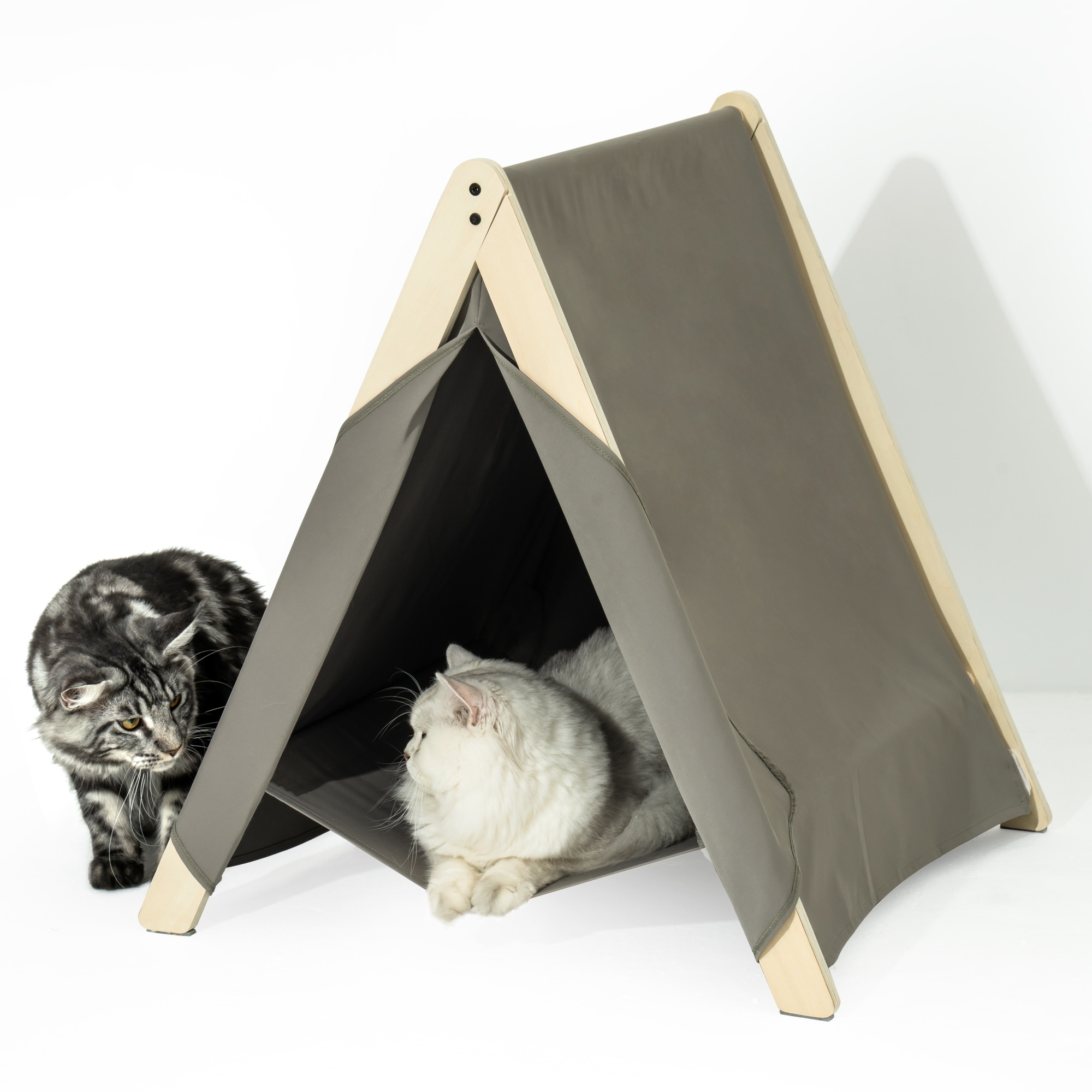 Cat litter box clearance tent