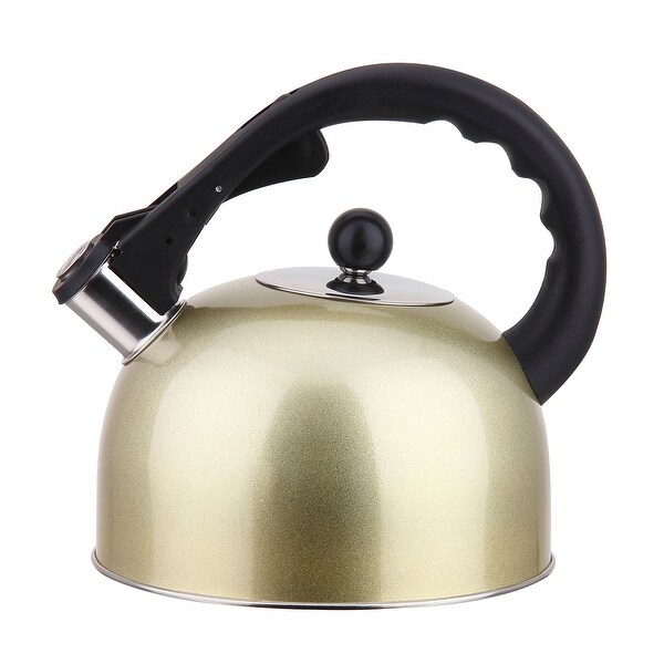 Tea kettle for induction stove 2025
