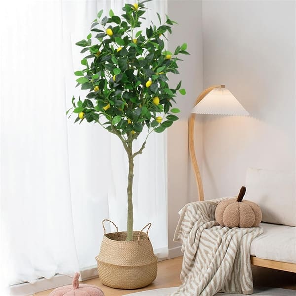Artificial Lemon Tree, Tall Fake Lemon Plant in Pot - Bed Bath & Beyond -  42208976