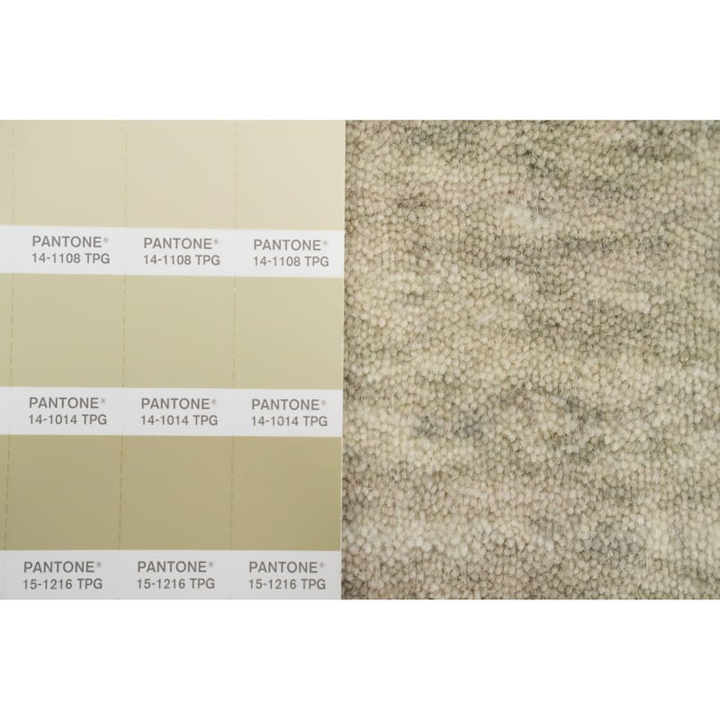 Hand Knotted Oriental 100% Wool Carpet Tribal Animal Pictorial Beige & Ivories Gabbeh Runner Rug - 9' 9'' X 2' 6''