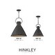 preview thumbnail 6 of 4, Hinkley Winnie 1-Light Pendant in Aged Zinc