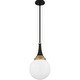 preview thumbnail 1 of 3, Arlo 1-Light Matte Black Pendant Light