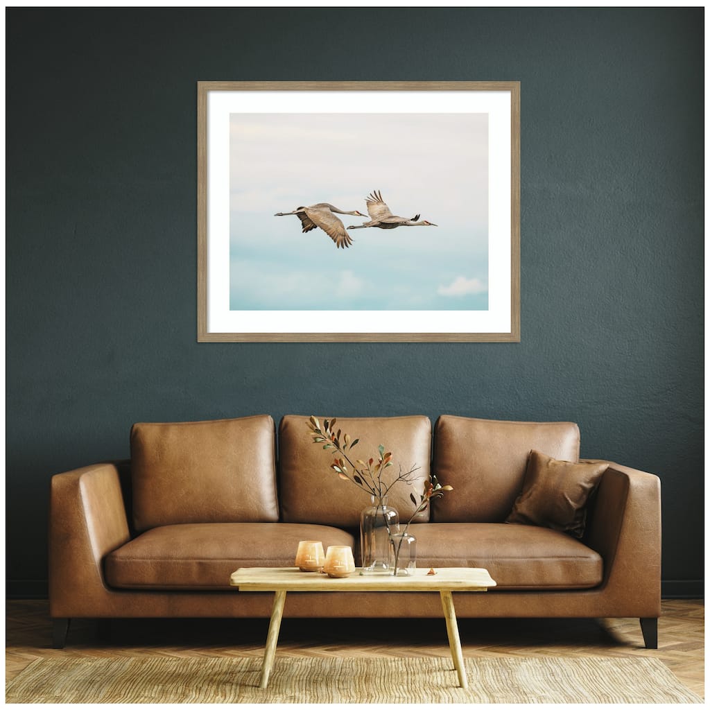 Kate and Laurel Cranes Flying by Emiko and Mark Franzen F2 Images Framed Wall Art Print
