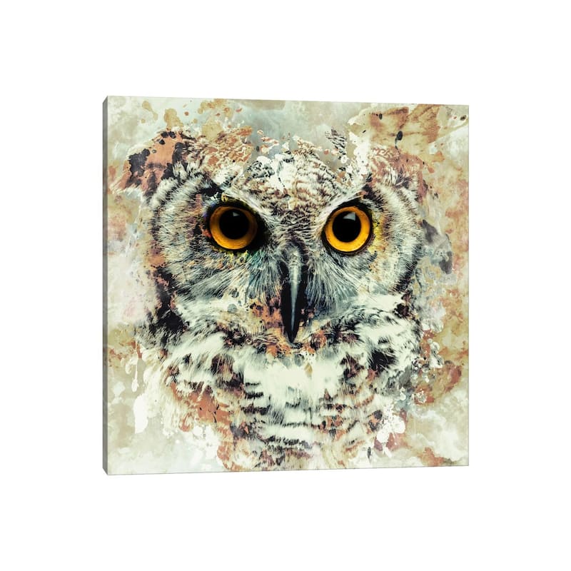 iCanvas "Owl II" by Riza Peker Canvas Print