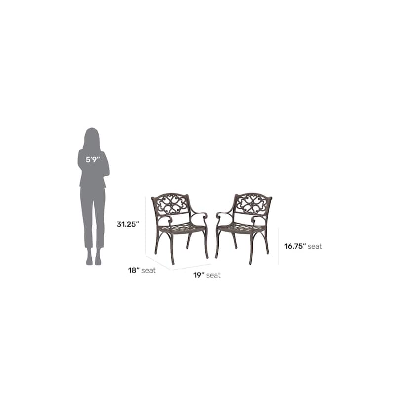 Sanibel Outdoor Chair Pair by Homestyles