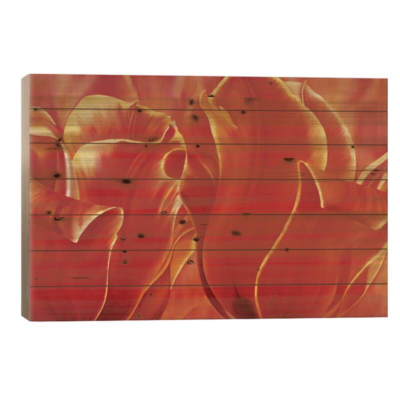 Party Tulip II Print On Wood by Yvonne Poelstra-Holzhaus - Multi-Color - 18x26x1.5