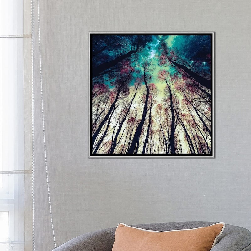 iCanvas "Nordic Lights" by Riza Peker Framed