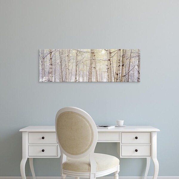 Easy Art Prints Panoramic Images's 'Autumn Aspens With Snow, Colorado, USA' Premium Canvas Art