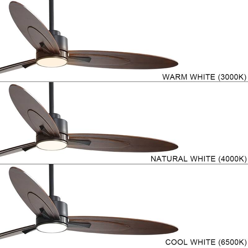 WINGBO 60-in 3-Blades Indoor Ceiling Fan with LED Light & Remote
